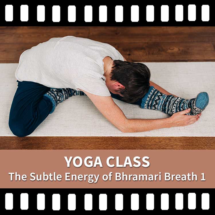 Energy of Bhramari Breath. Yoga Class, Yoga Video, Yoga Recording Scaravelli Inspired Yoga