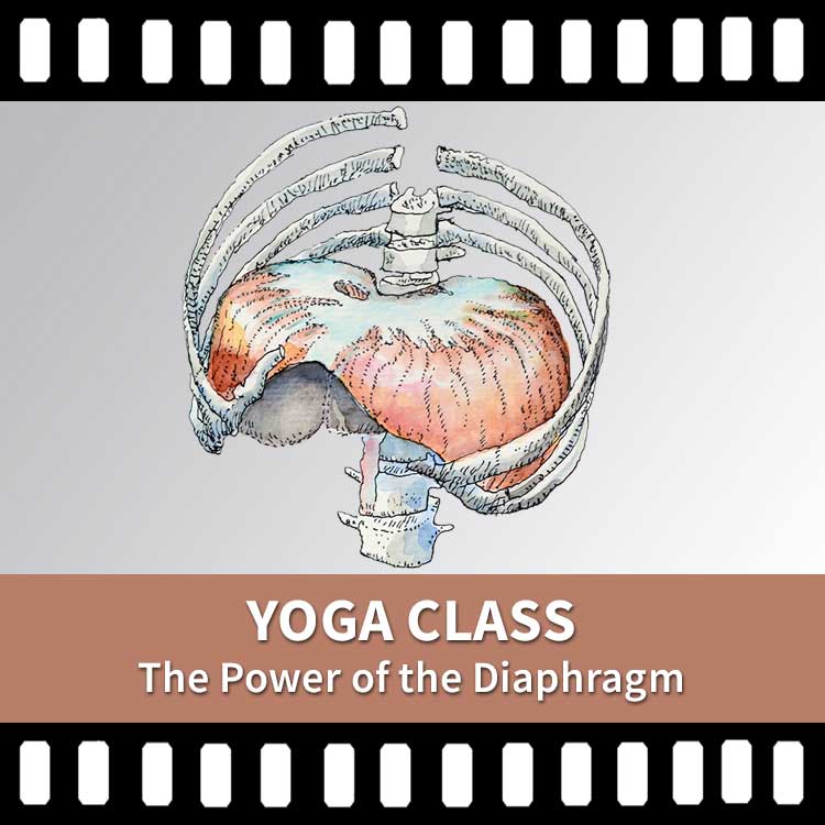 Power of the Diaphragm, Yoga Class, Yoga Video, Yoga Recording, Scaravelli Yoga