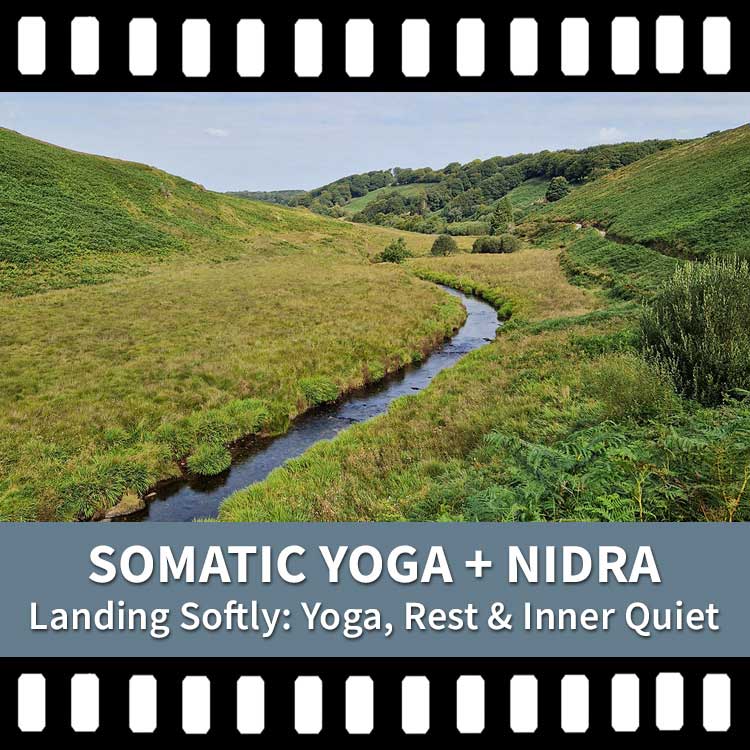 Somatic Yoga, Yoga Nidra, Yoga Meditation, Yoga Rest, Destress, Yoga Video, Yoga Recording, Scaravelli Inspired Yoga