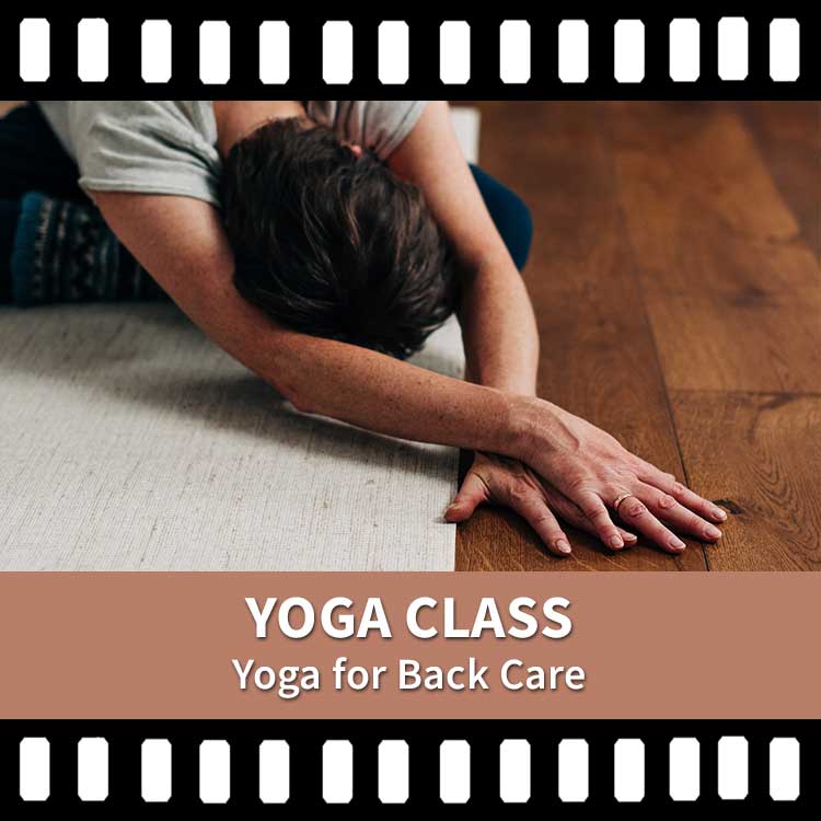 Yoga For Back Care, Yoga Class, Yoga Video, Yoga Recording, Scaravelli Inspired Yoga