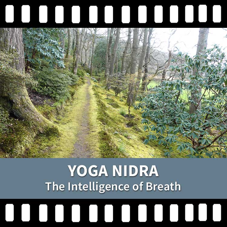 Somatic Yoga, Yoga Nidra, Yoga Meditation, Yoga Breath, Destress, Yoga Video, Yoga Recording, Scaravelli Inspired Yoga