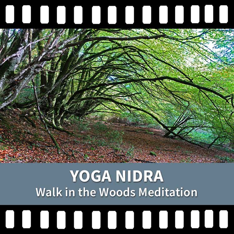 Somatic Yoga, Yoga Nidra, Yoga Meditation, Yoga Rest, Destress, Yoga Video, Yoga Recording, Scaravelli Inspired Yoga