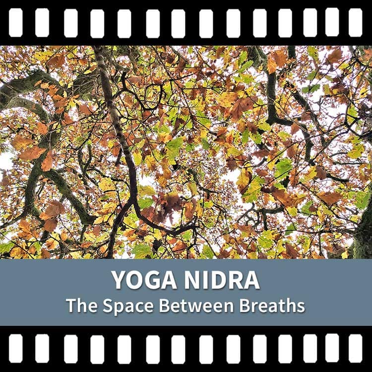 Somatic Yoga, Yoga Nidra, Yoga Meditation, Yoga Breath, Yoga Breathing, Destress, Yoga Video, Yoga Recording, Scaravelli Inspired Yoga