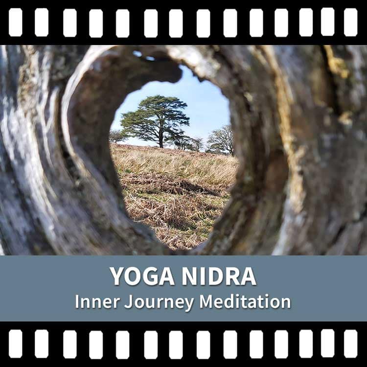Somatic Yoga, Yoga Nidra, Yoga Meditation, Yoga Rest, Destress, Yoga Video, Yoga Recording, Scaravelli Inspired Yoga