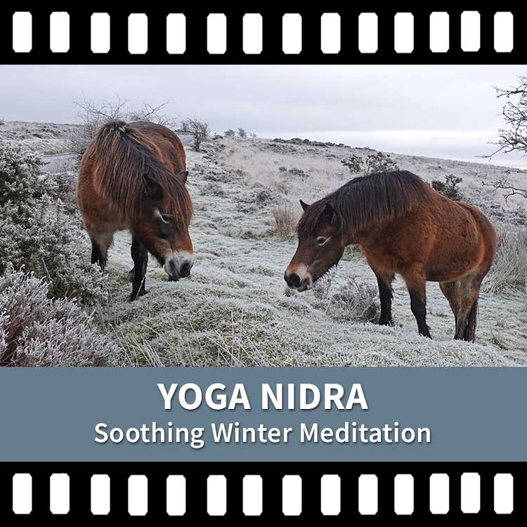 Somatic Yoga, Yoga Nidra, Yoga Meditation, Yoga Rest, Winter Stress, Destress, Yoga Video, Yoga Recording, Scaravelli Inspired Yoga