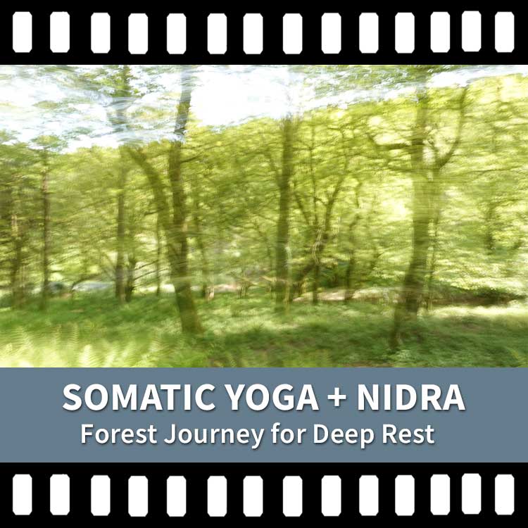 Somatic Yoga Video, Yoga Nidra Video, Yoga Movement, Yoga Stillness, Relieve Stress, Release Tension, Rest & Restore, Yoga Video, Yoga Recording, Scaravelli Inspired Yoga Video