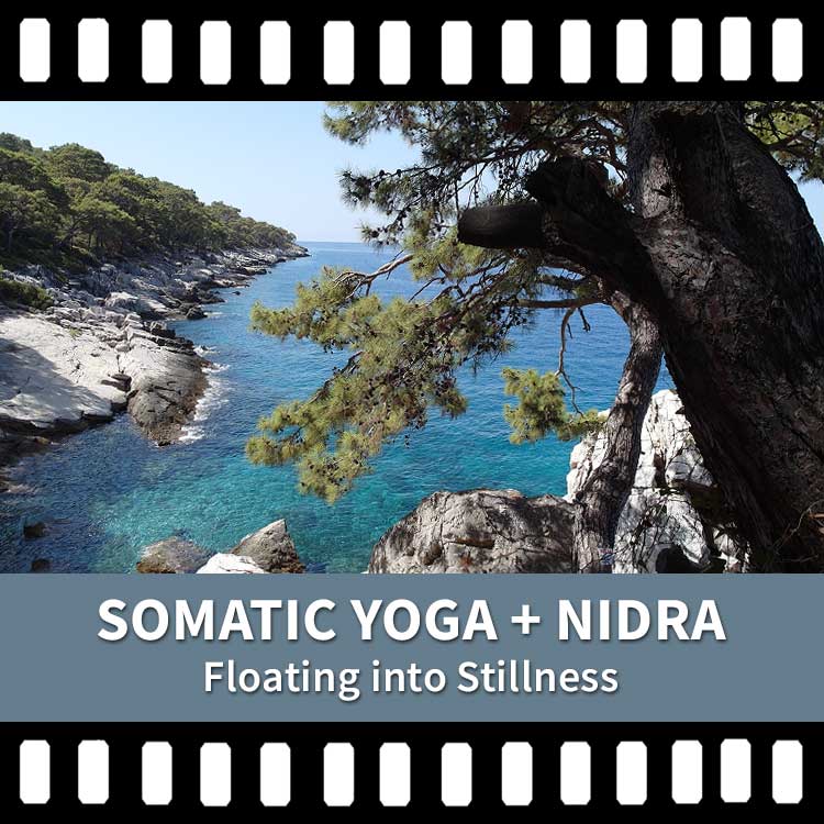 Somatic Yoga, Yoga Nidra, Stillness, Yoga Nidra, Video Yoga Nidra Recording, Scaravelli Inspired Yoga, Nervous System, Insomnia, Sleep