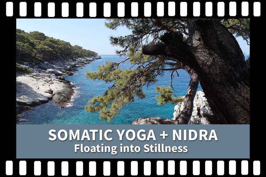 Somatic Yoga, Yoga Nidra, Stillness, Yoga Nidra, Video Yoga Nidra Recording, Scaravelli Inspired Yoga, Nervous System, Insomnia, Sleep