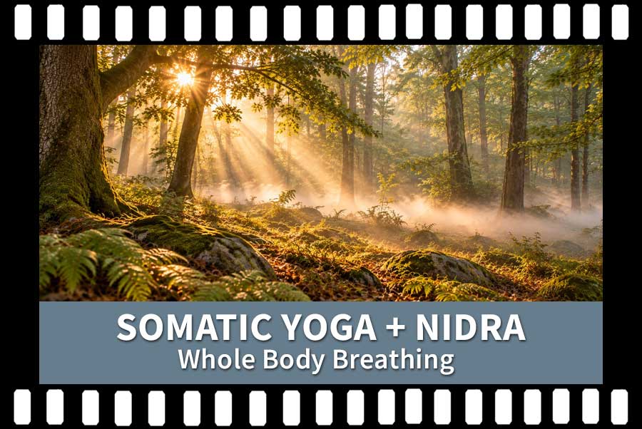 Yoga Nidra, Whole Body Breathing, Somatic Yoga Video, Scaravelli Inspired, Catherine Annis