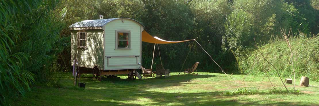 Dorset Yoga, Retreat, Bonhays, 2022, Scaravelli Inspired Yoga