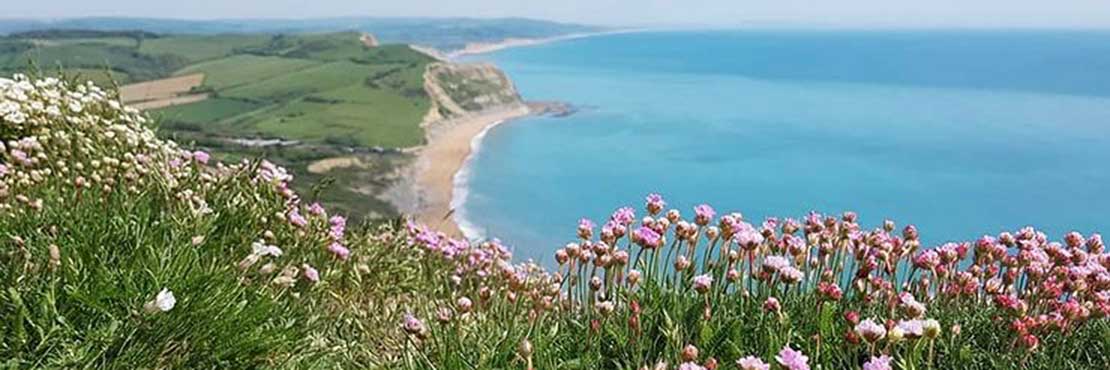 Dorset Yoga, Retreat, Bonhays, 2022, Scaravelli Inspired Yoga