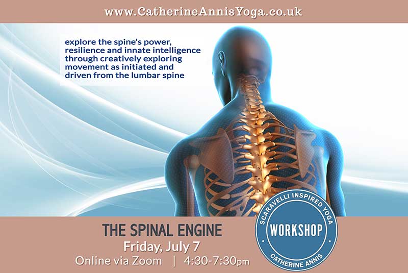 July, Scaravelli Inspired Yoga, Yoga workshop, Spinal Engine, Spine, Catherine Annis Yoga, Yoga Video