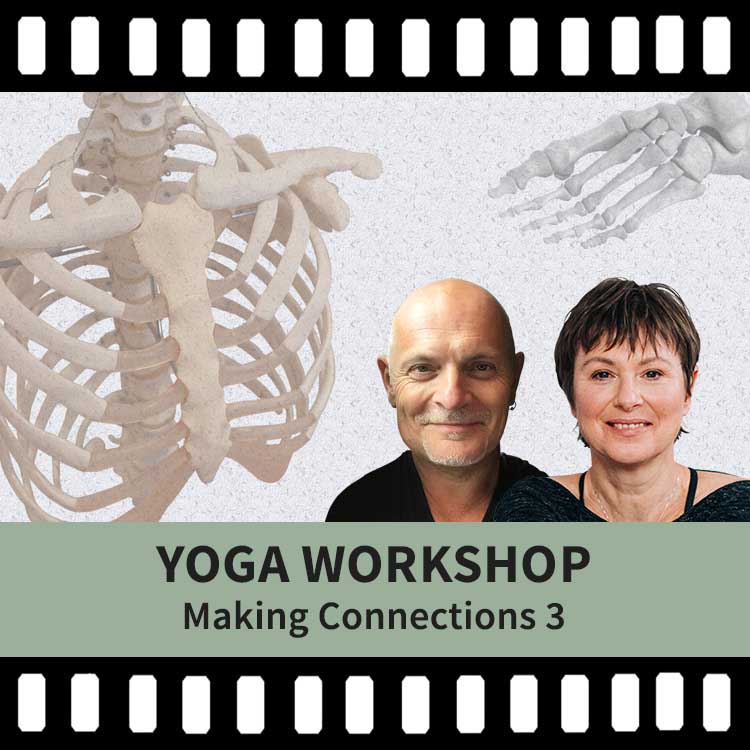 Making Connections, Yoga Workshop, Yoga Video, Yoga Recording, Gary Carter Yoga, Catherine Annis Yoga, Scaravelli Inspired Yoga