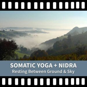Somatic Yoga, Yoga Nidra, Resting Yoga, Yoga & Stress, Nervous System, Scaravelli Inspired Yoga, Yoga Calm, Yoga & Insomnia, Yoga Video, Yoga Recording