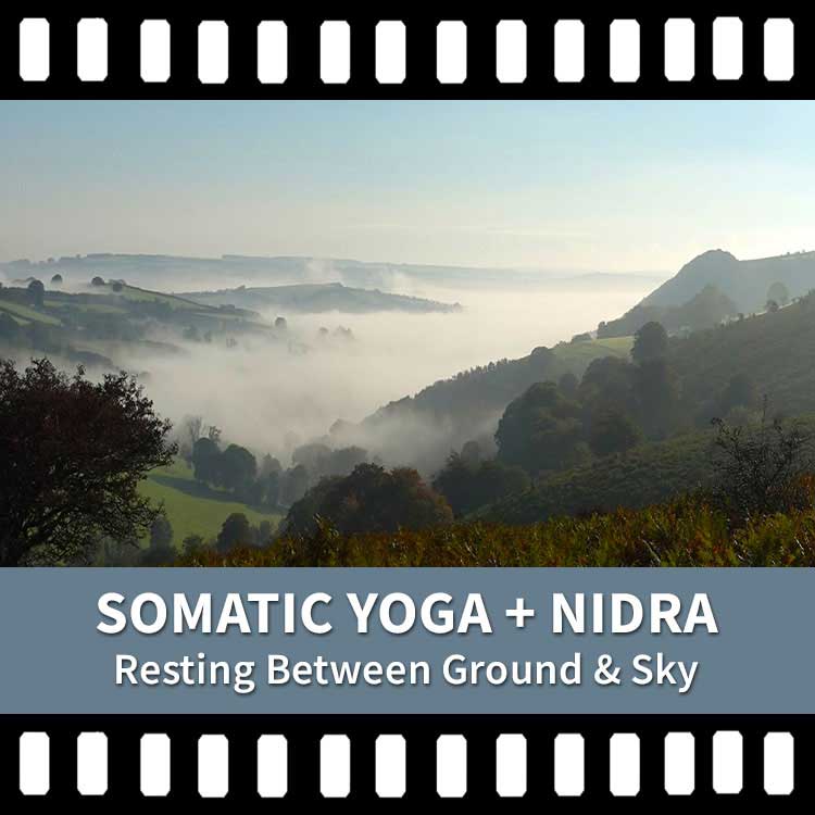 Somatic Yoga, Yoga Nidra, Resting Yoga, Yoga & Stress, Nervous System, Scaravelli Inspired Yoga, Yoga Calm, Yoga & Insomnia, Yoga Video, Yoga Recording