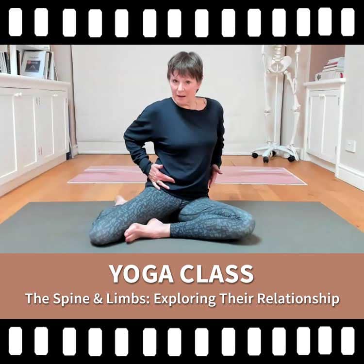 The Spine and Limbs, Yoga Movement, Yoga Anatomy, Scaravelli Inspired Yoga Video