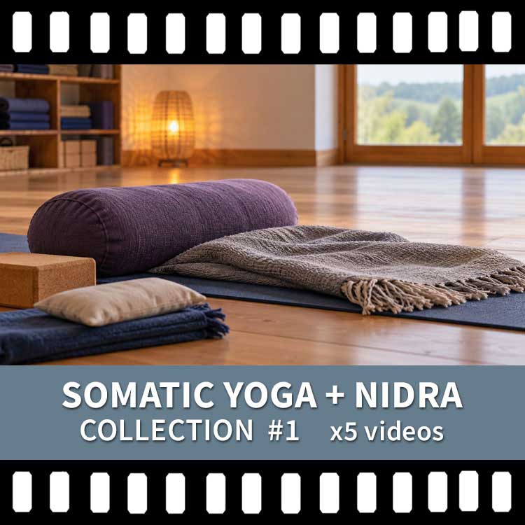Scaravelli Inspired Yoga, Catherine Annis, Yoga Videos, Somatic Yoga Videos, Yoga Nidra Videos, Women in Midlife, Woman Over 40, Women Over 50, Women Over 60